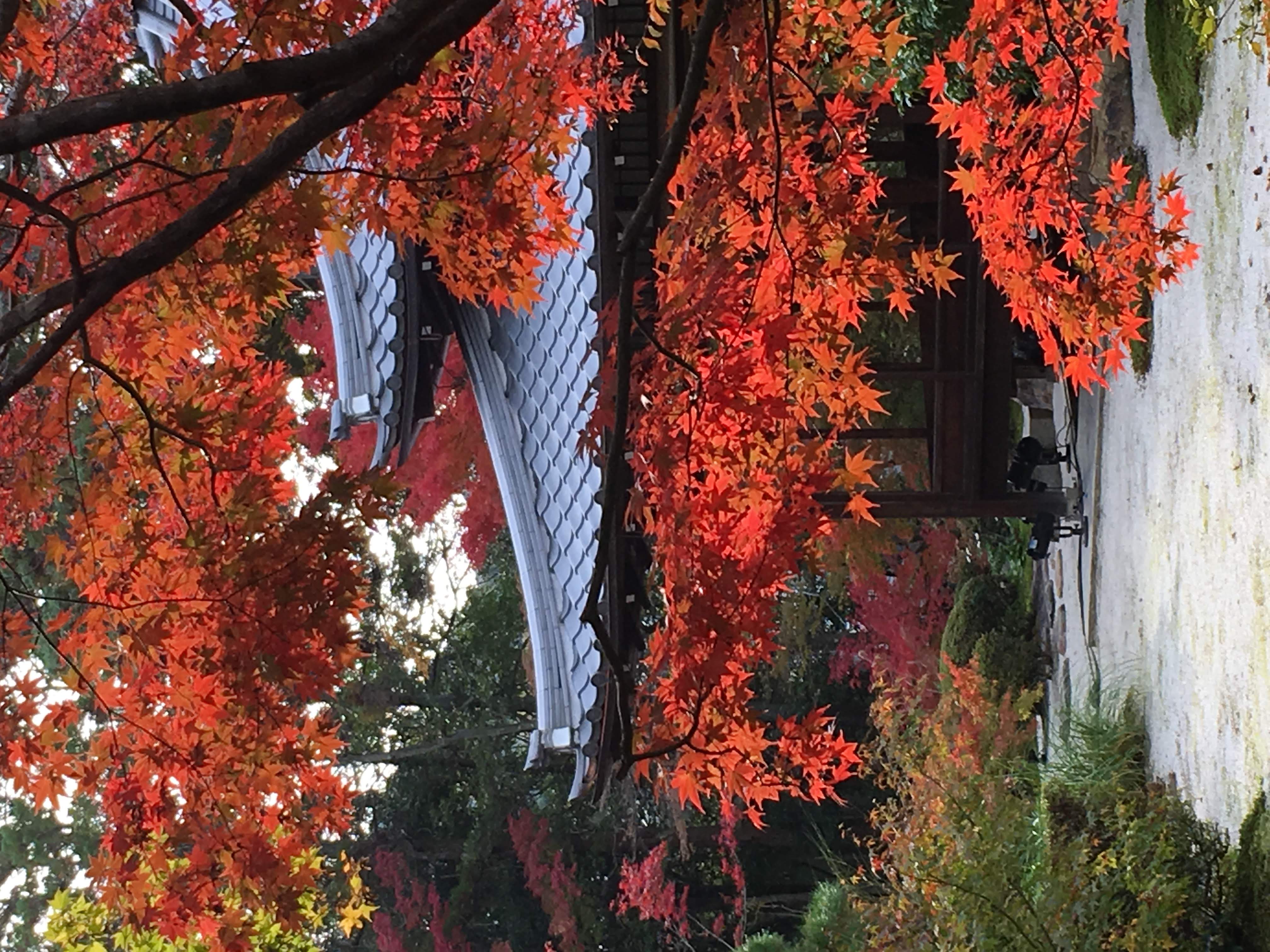 Japanese for Engineers